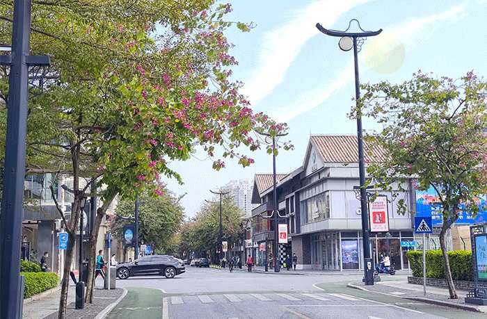 打開城市智慧發(fā)展之窗，LED燈桿屏讓城市更聰明 更智慧